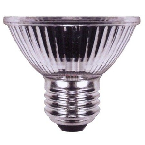 Żarówka   30 LED E27/230V św.zimne